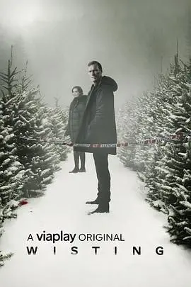 《警探维斯廷 第五季》：北欧悬疑再升级！犯罪心理与人性博弈的极致展现