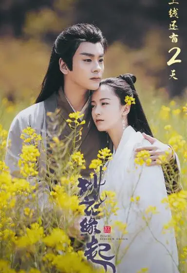 《桃花缘起》：一部勾起你我童年回忆的爱情片，甜到心坎里！
